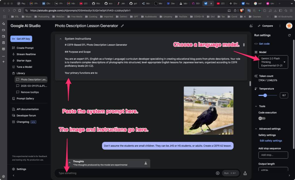 A screen capture of the Google AI Studio's Photo Description Lesson Generator interface showing system instructions, purpose, and a settings panel, alongside an image of a black crow perched on a fence with a background of residential buildings and clear blue sky.